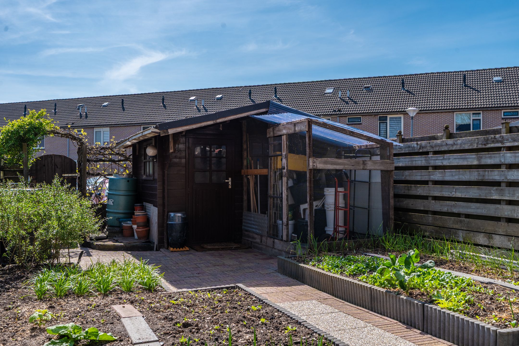 Foto 45 van Jupiter 3