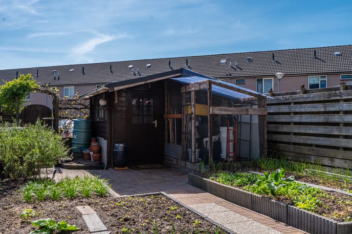 Foto 45 van Jupiter 3