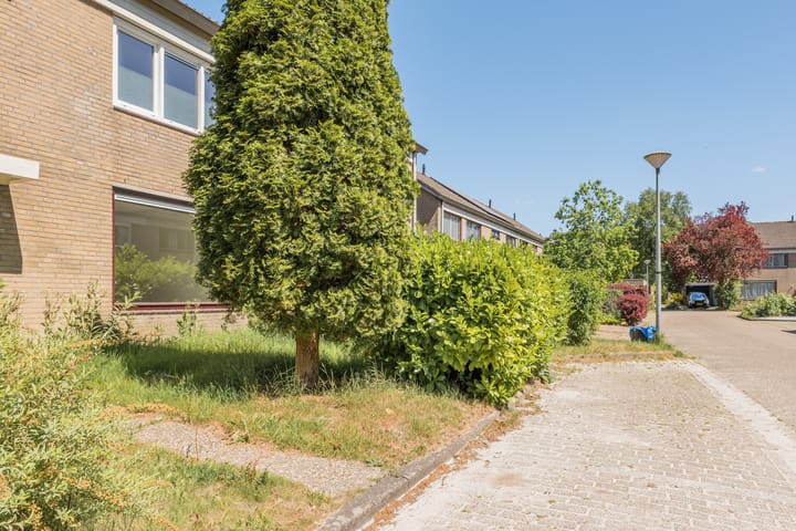 Foto 25 van 't Zuden 103