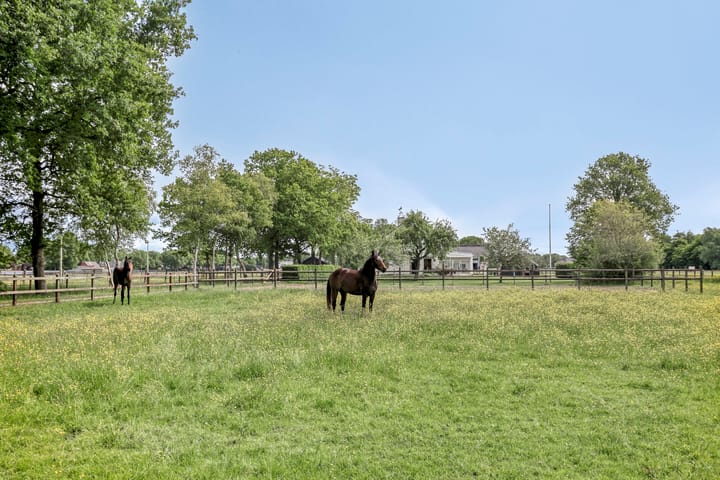 Photo 5 of Houtwal 36