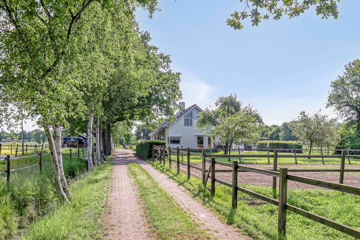 Photo 8 of Houtwal 36