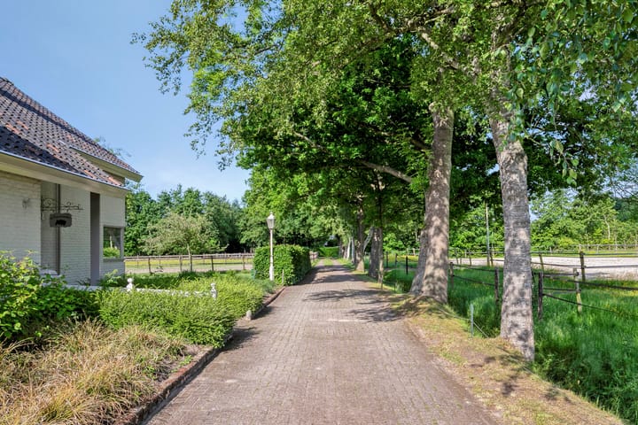 Photo 9 of Houtwal 36