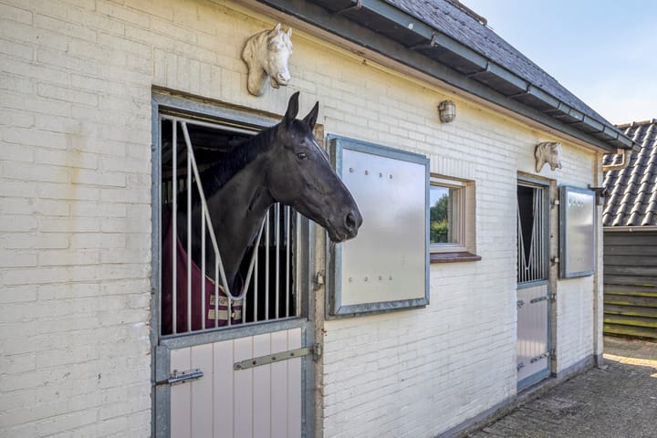 Photo 47 of Houtwal 36