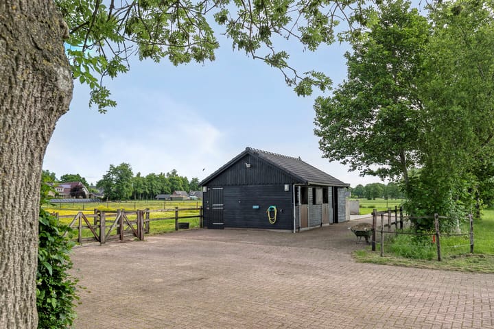 Photo 48 of Houtwal 36