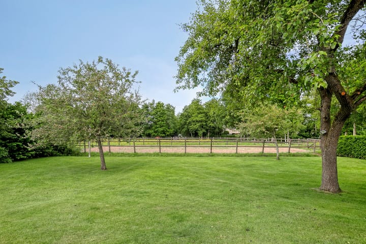 Photo 50 of Houtwal 36