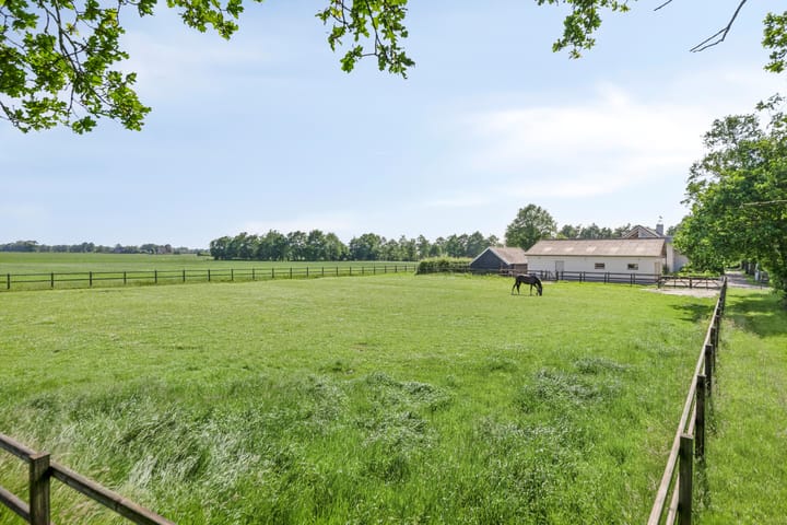 Photo 53 of Houtwal 36