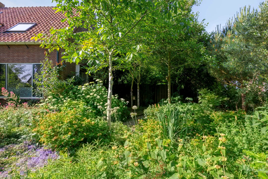 Photo 62 of Molenweg 77