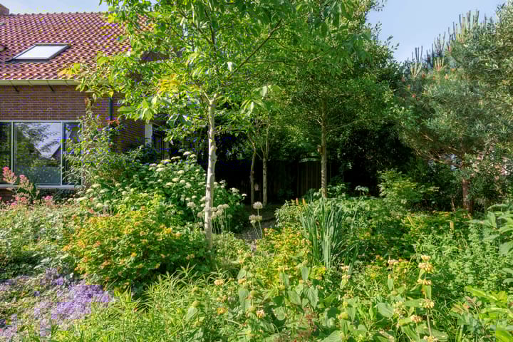 Foto 62 van Molenweg 77