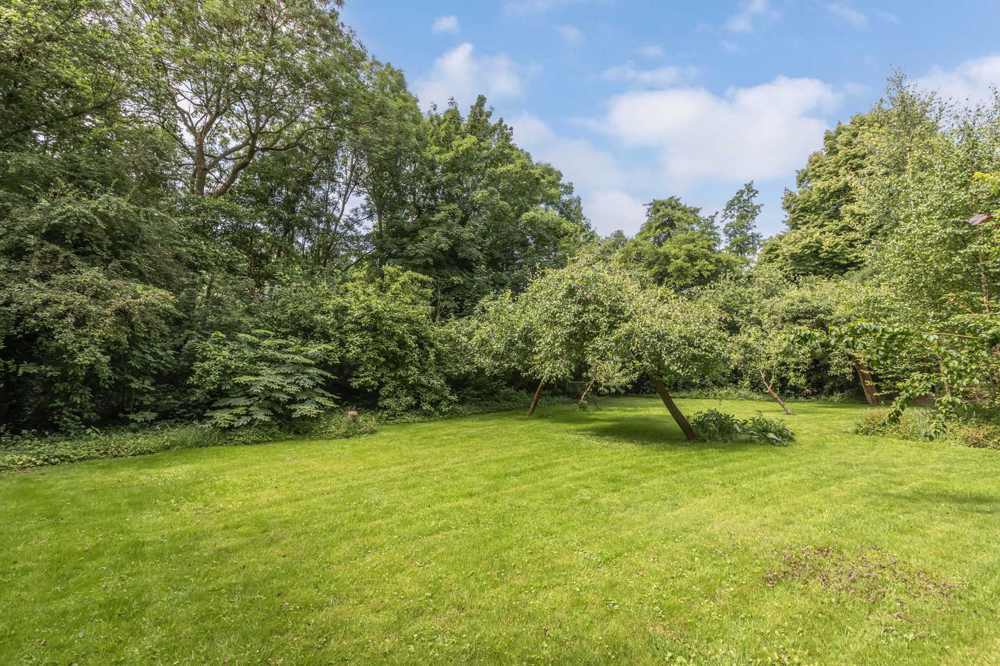 Foto 49 van Stadburen 33