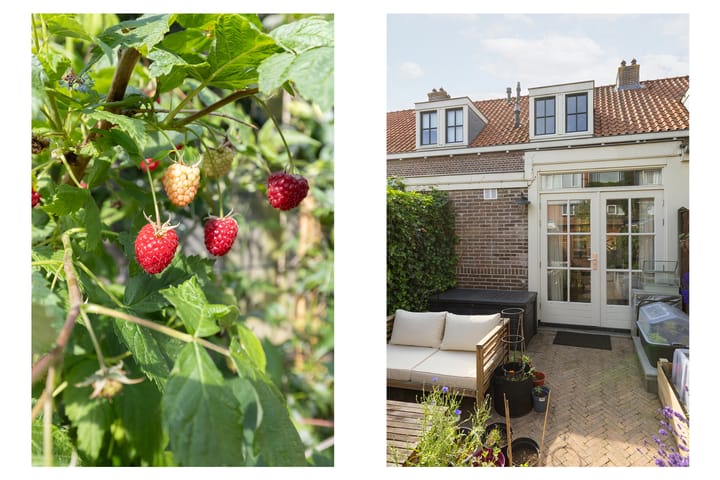 Foto 45 van Westinghousestraat 26