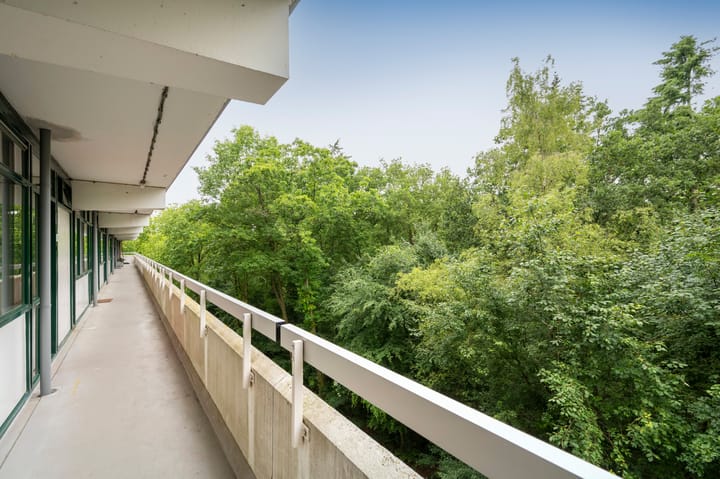 Foto 6 van Landschaplaan 107