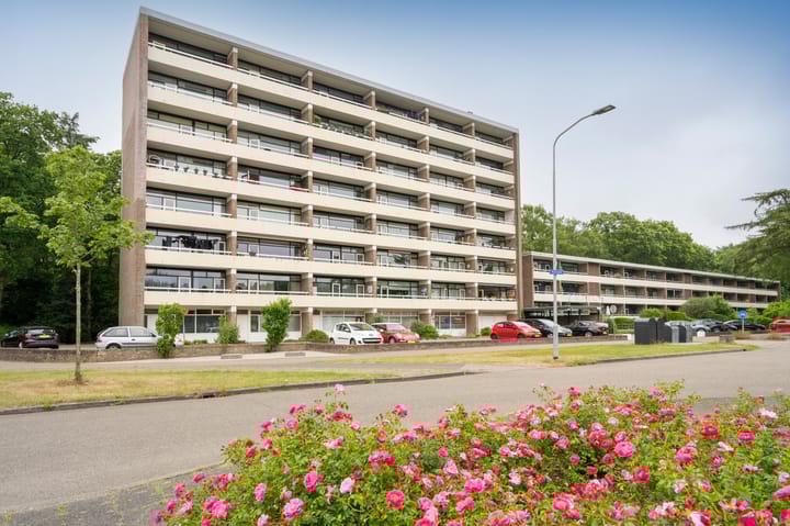 Foto 1 van Landschaplaan 107