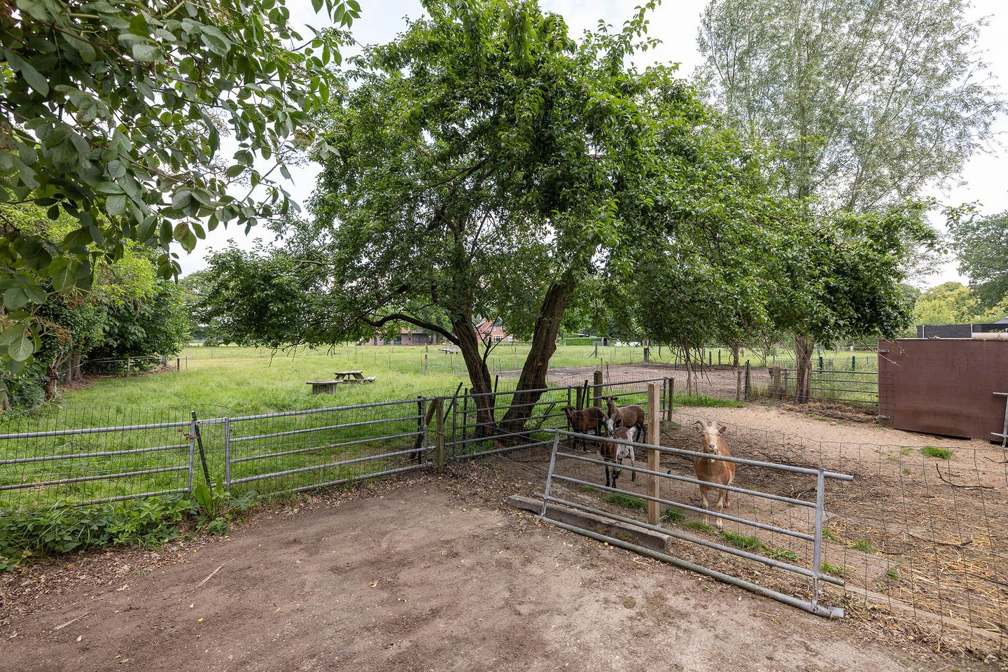 Foto 25 van Langeveenseweg 93