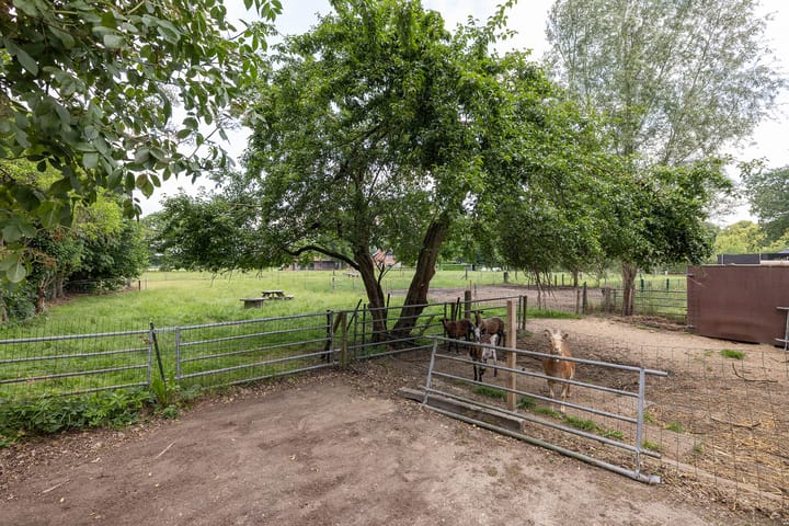 Foto 25 van Langeveenseweg 93