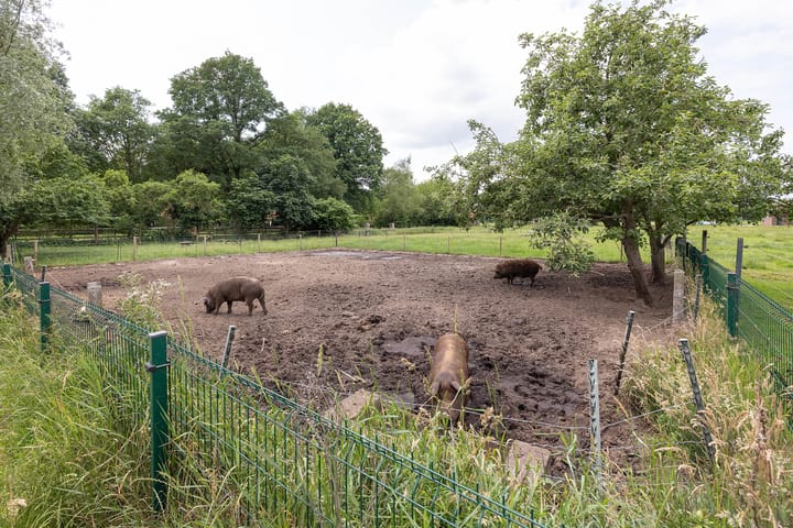 Foto 26 van Langeveenseweg 93