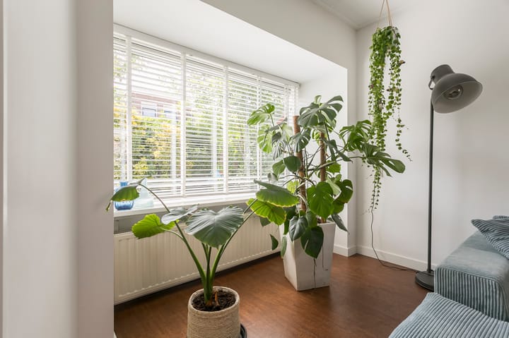 Foto 7 van Jufferenpad 15