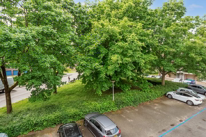 Foto 14 van Julianaplantsoen 145