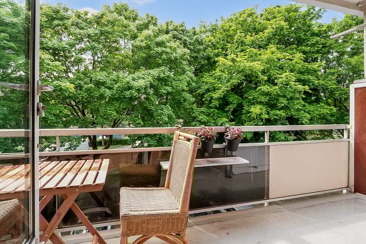 Foto 16 van Julianaplantsoen 145