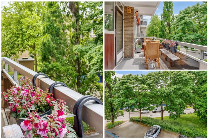 Foto 17 van Julianaplantsoen 145