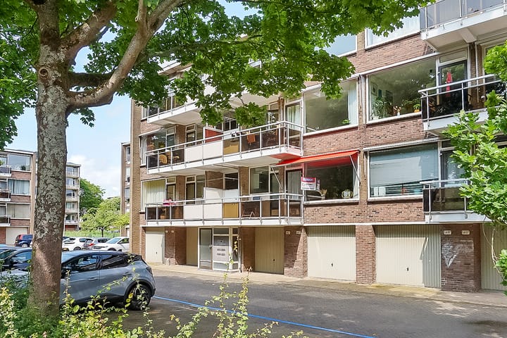 Foto 34 van Julianaplantsoen 145