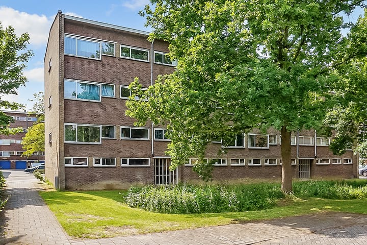 Foto 35 van Julianaplantsoen 145