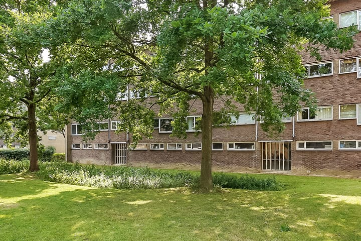 Foto 36 van Julianaplantsoen 145