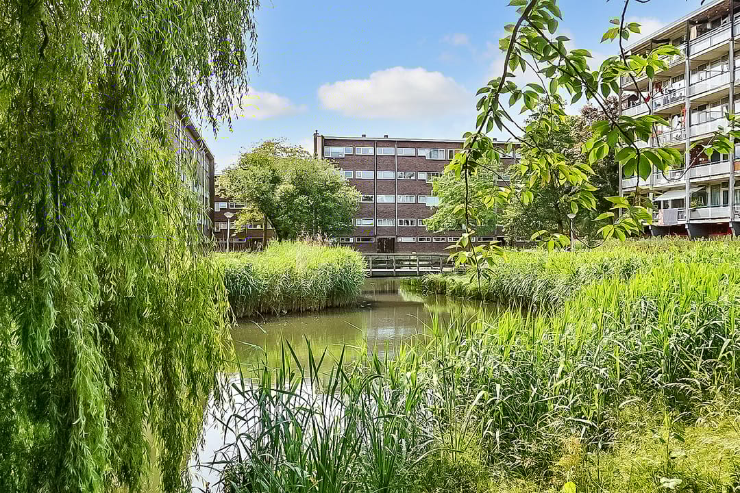 Foto 38 van Julianaplantsoen 145