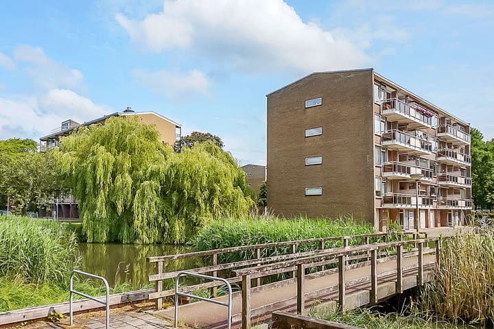 Foto 39 van Julianaplantsoen 145