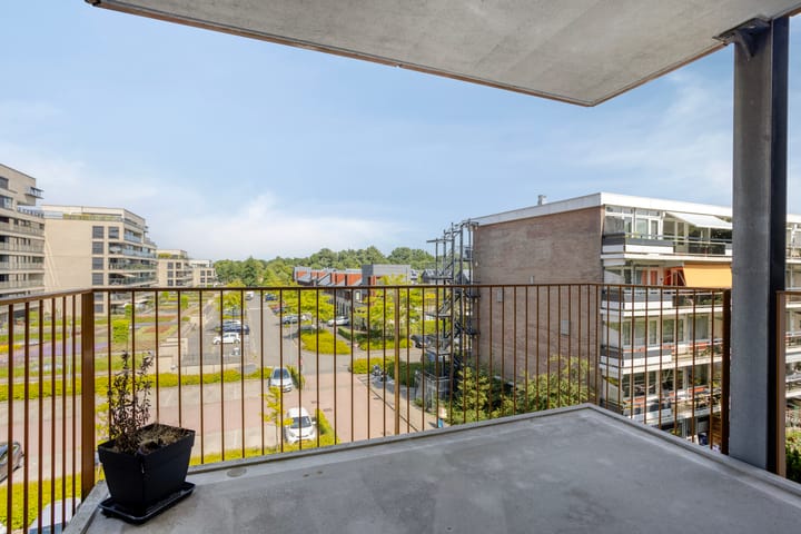 Foto 21 van Kaap Hoorn 22