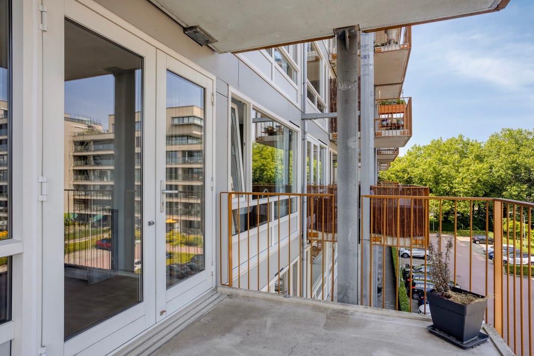 Foto 23 van Kaap Hoorn 22