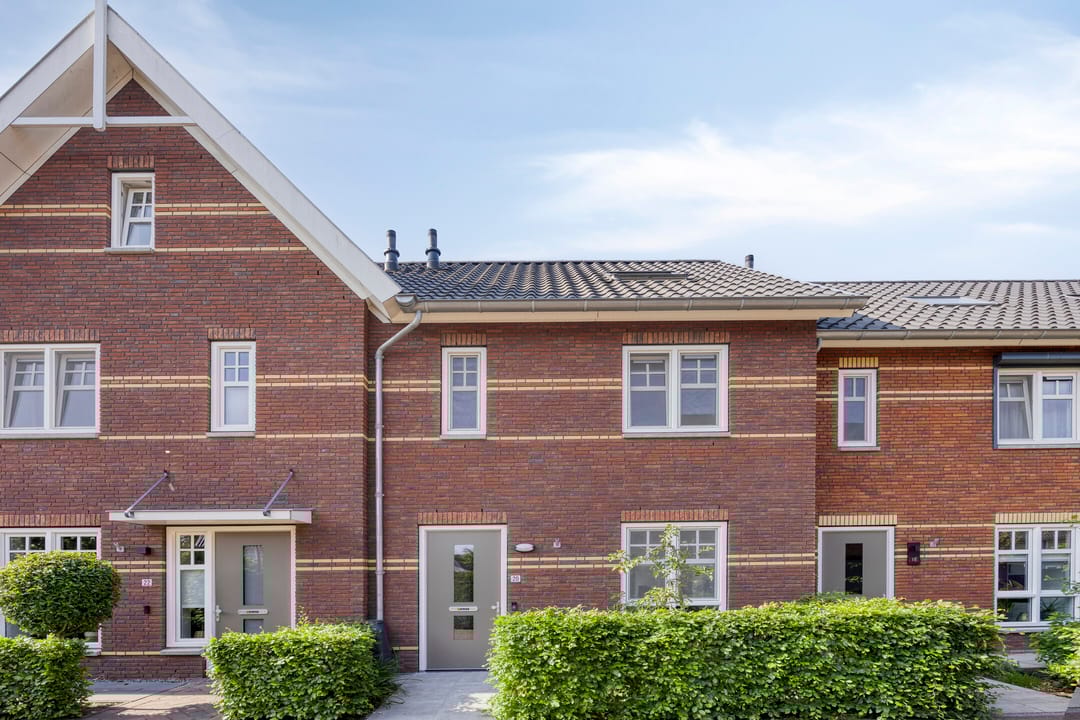 Foto 31 van Meerkoet 20