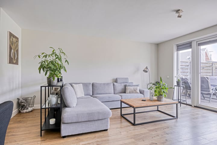 Foto 3 van Meerkoet 20