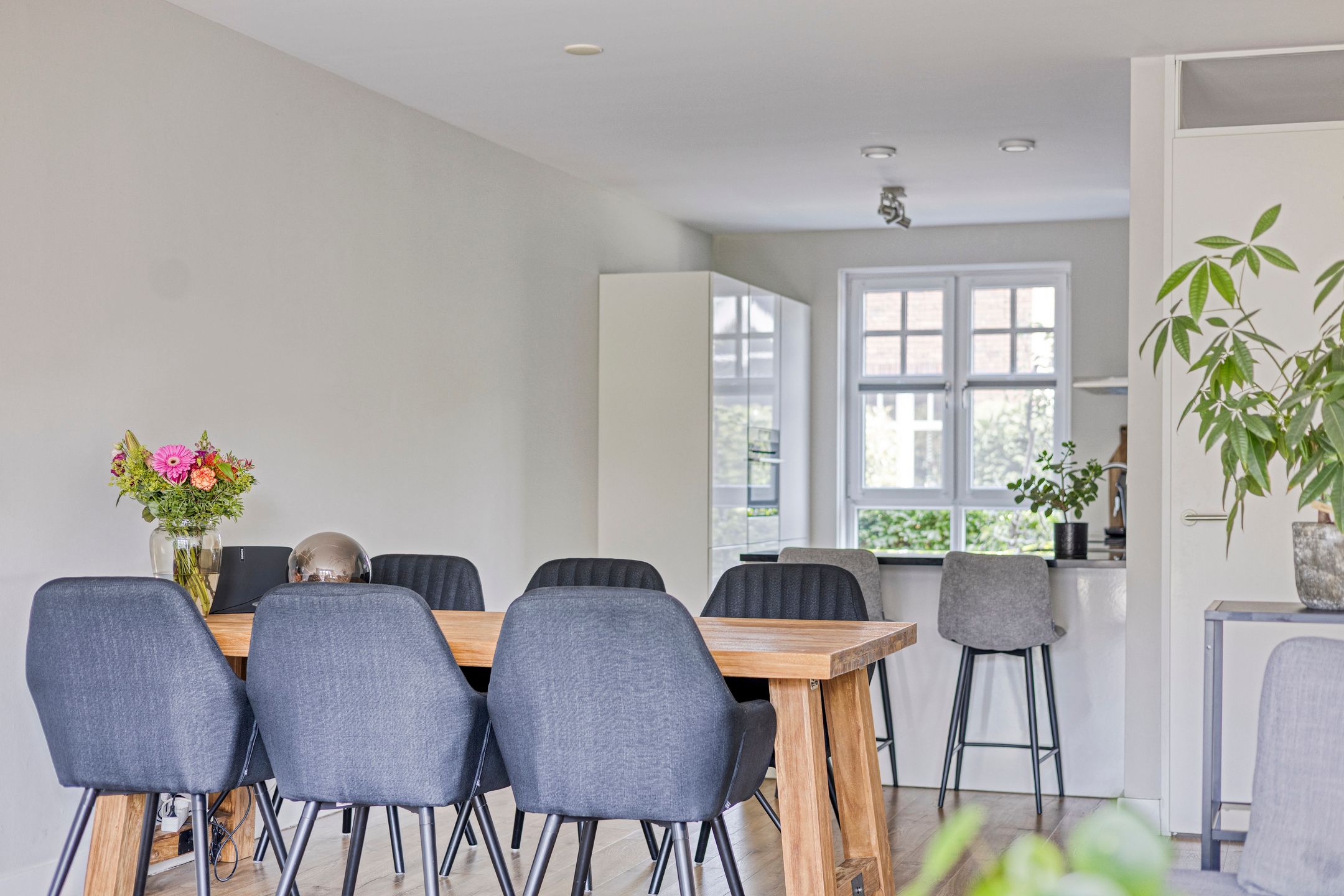 Foto 6 van Meerkoet 20