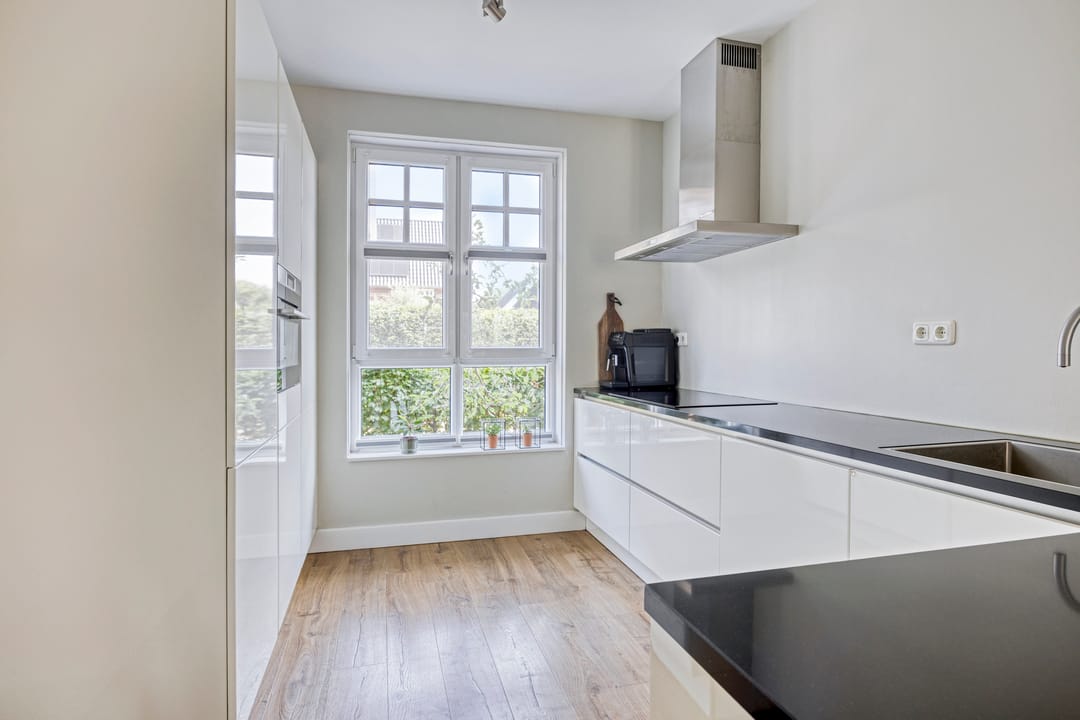 Foto 8 van Meerkoet 20