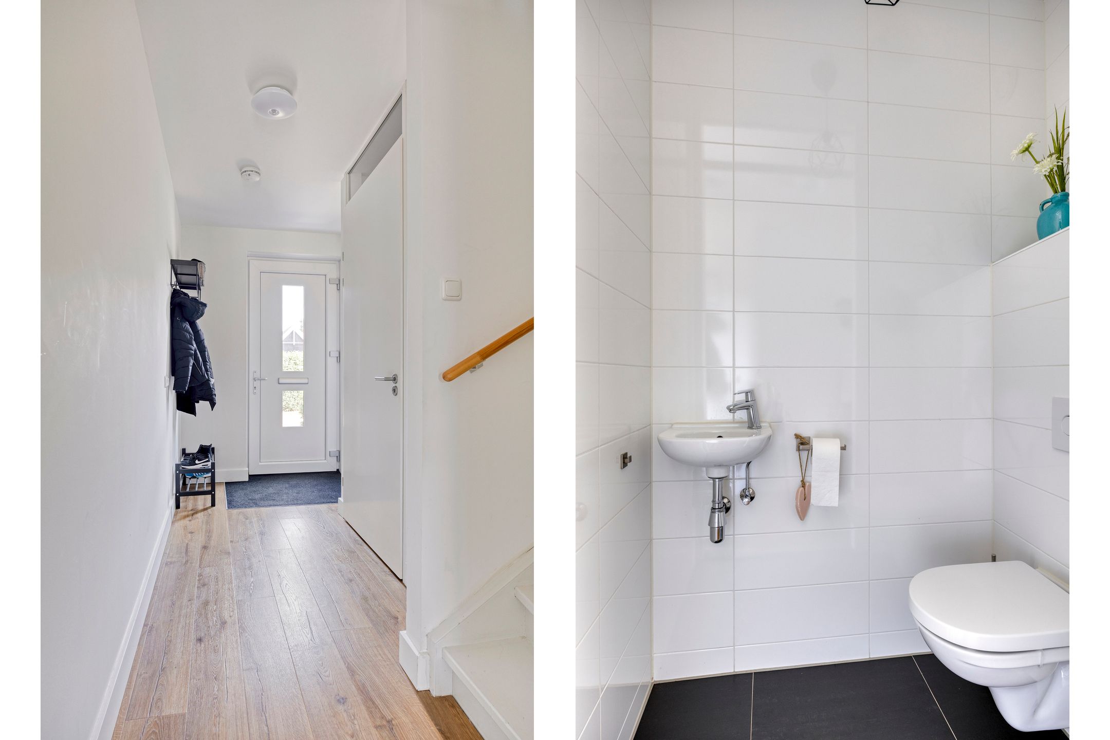 Foto 12 van Meerkoet 20