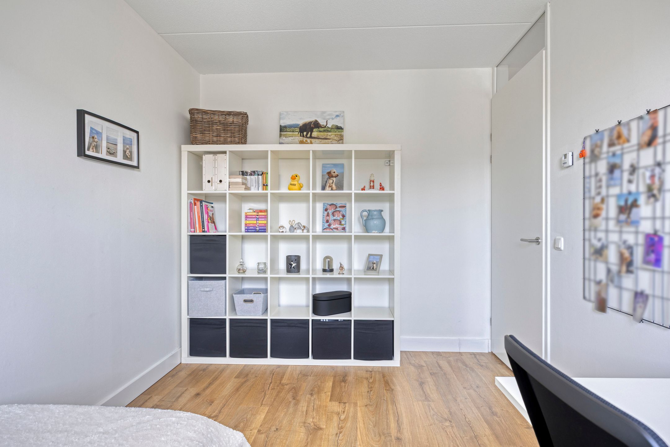 Foto 18 van Meerkoet 20