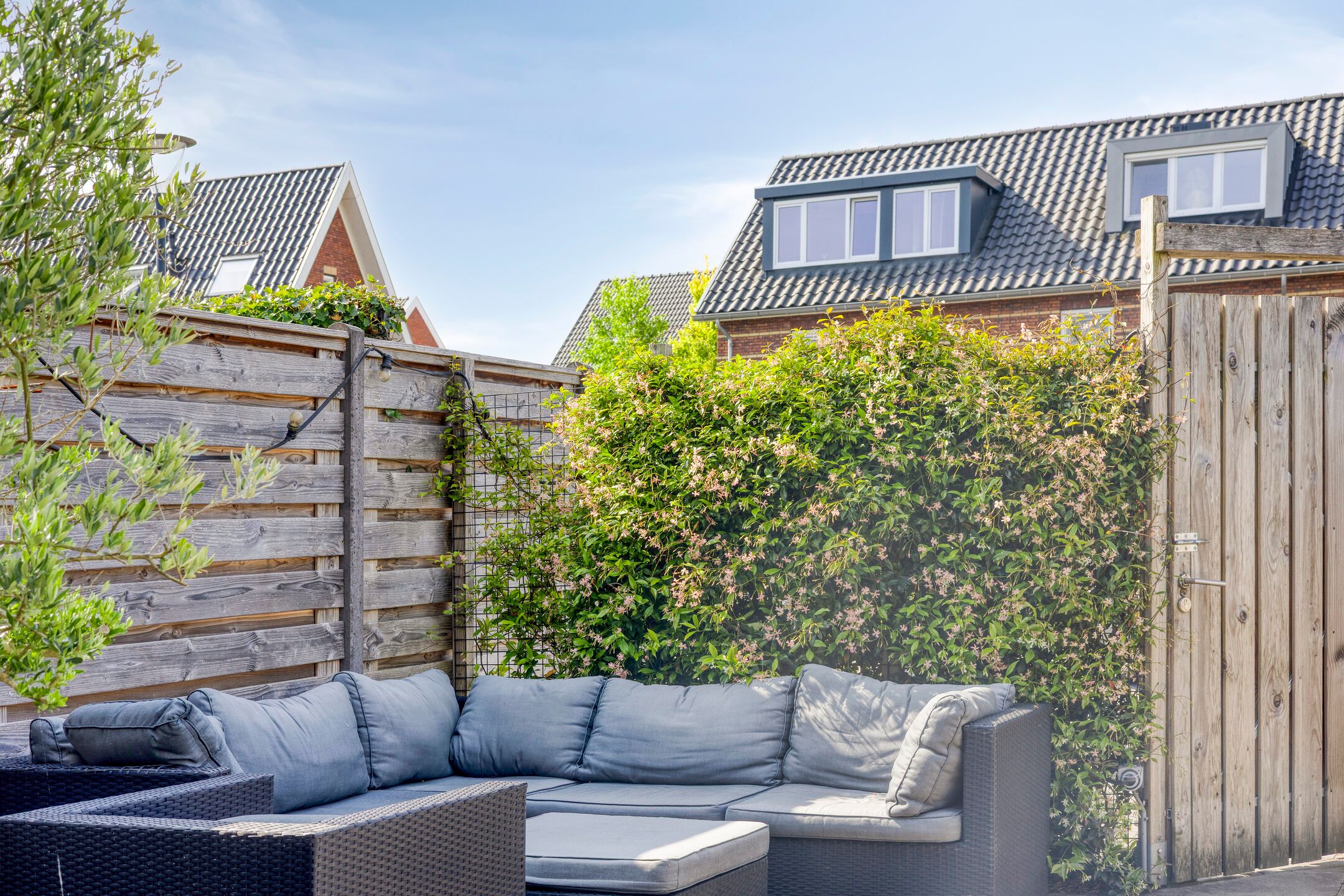 Foto 24 van Meerkoet 20