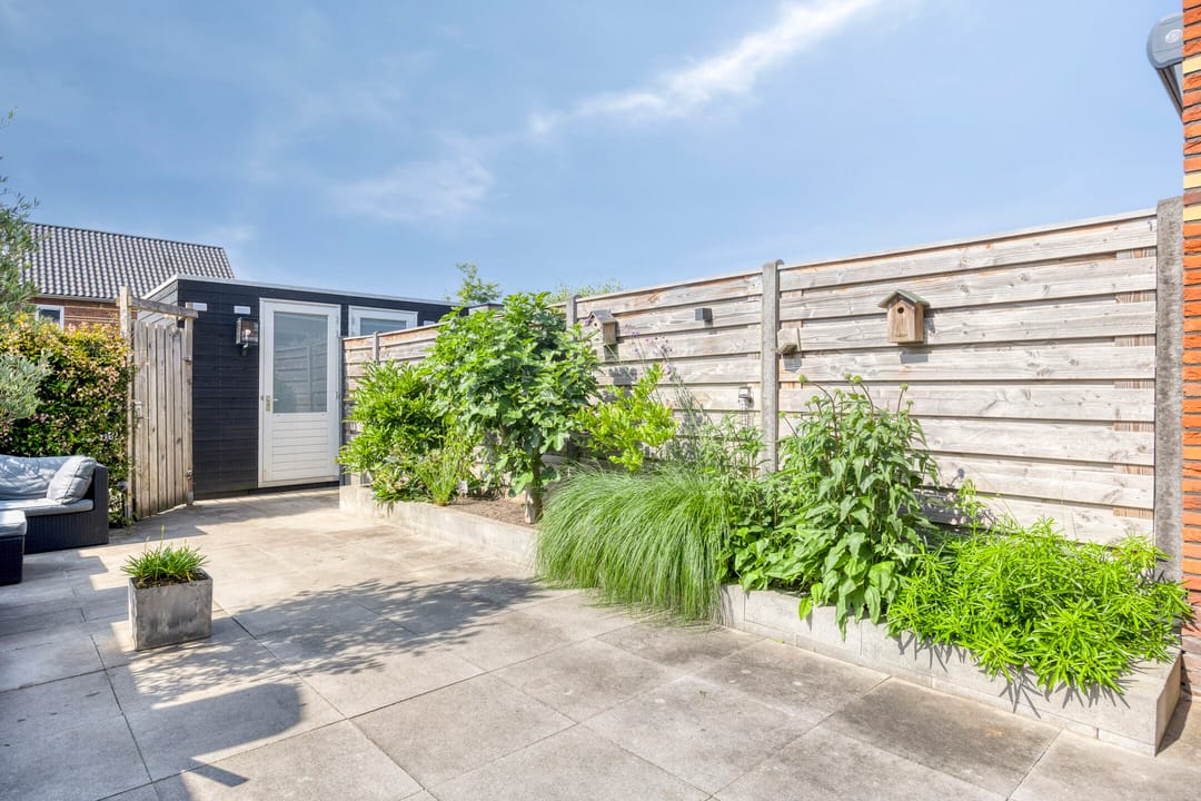 Foto 26 van Meerkoet 20