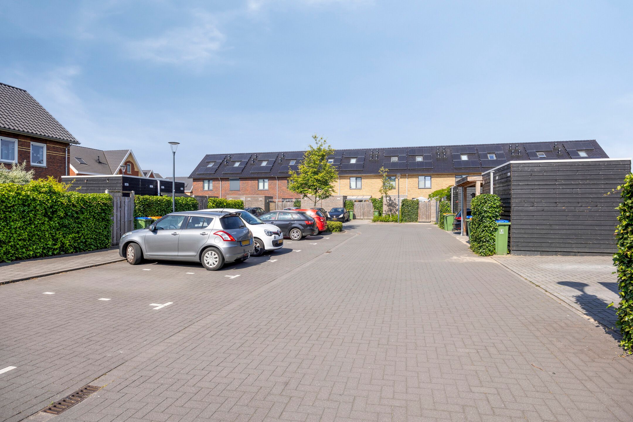 Foto 30 van Meerkoet 20