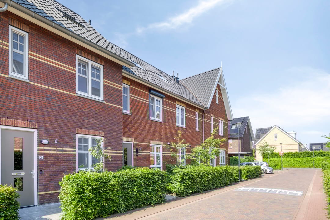 Foto 1 van Meerkoet 20