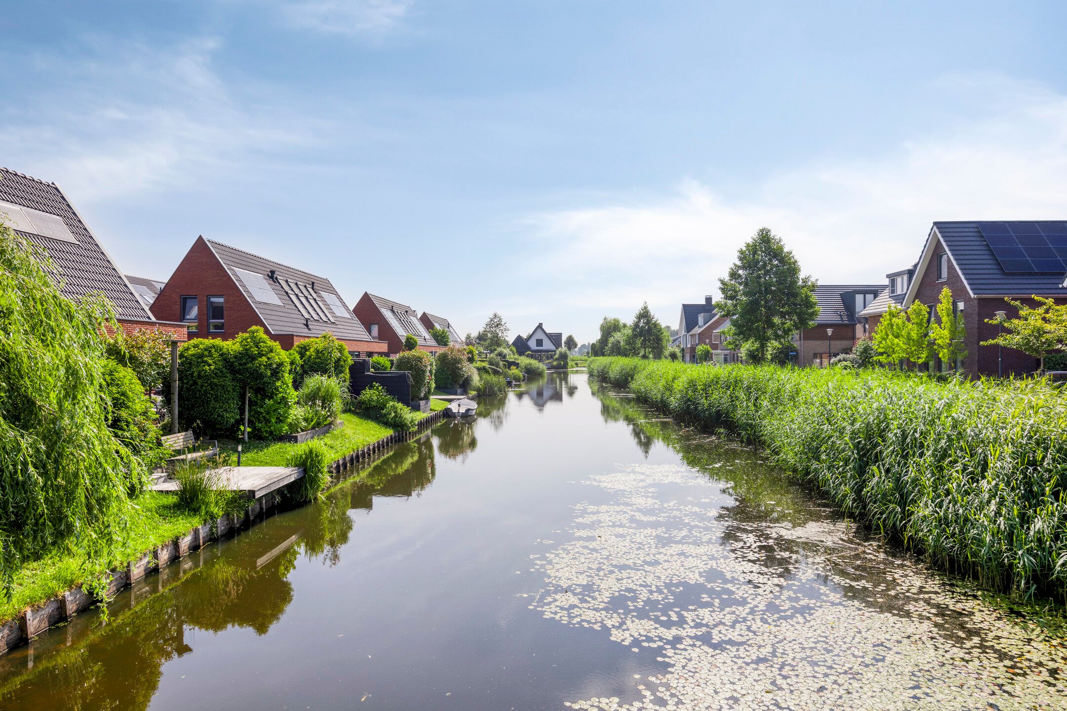 Foto 33 van Meerkoet 20