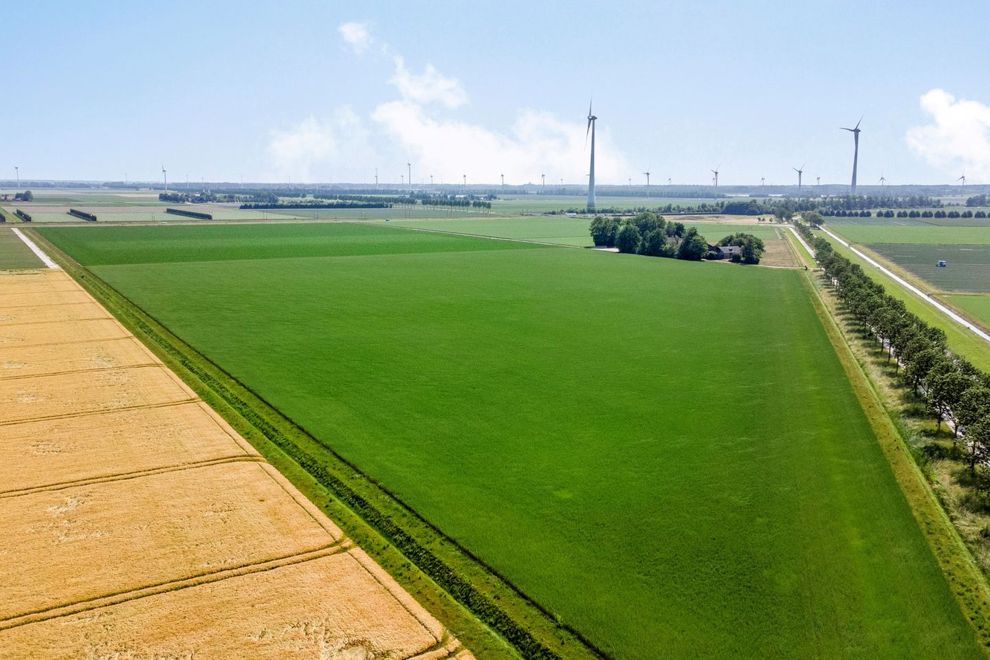 View photo 4 of Swifterringweg 15