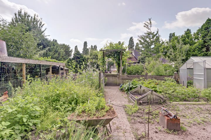 Photo 38 of Sprenkeleind 4