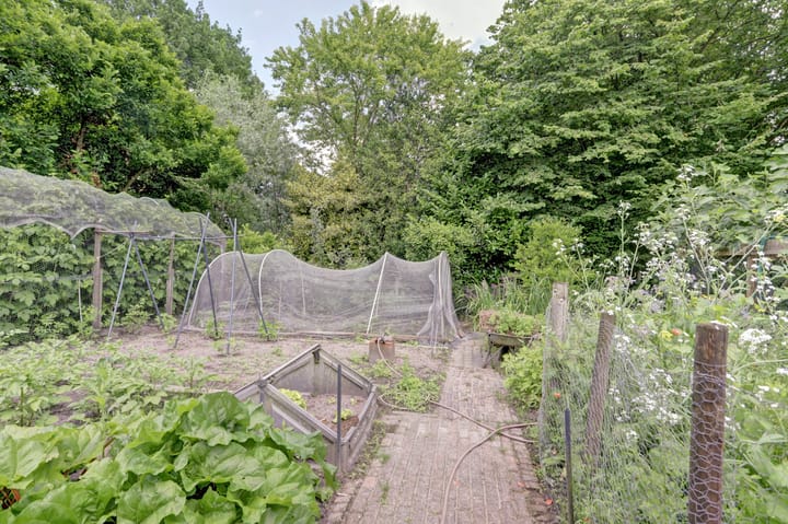 Photo 39 of Sprenkeleind 4