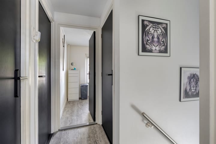 Foto 23 van Rodenbachstraat 6