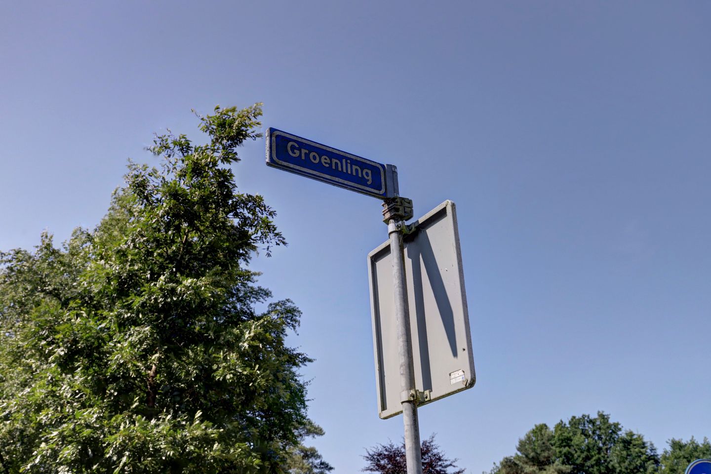 Photo 5 of Groenling 31