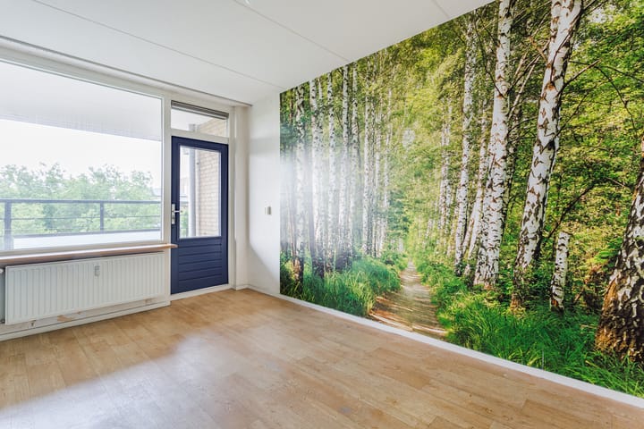 Foto 15 van Van Oldenbarneveltstraat 452