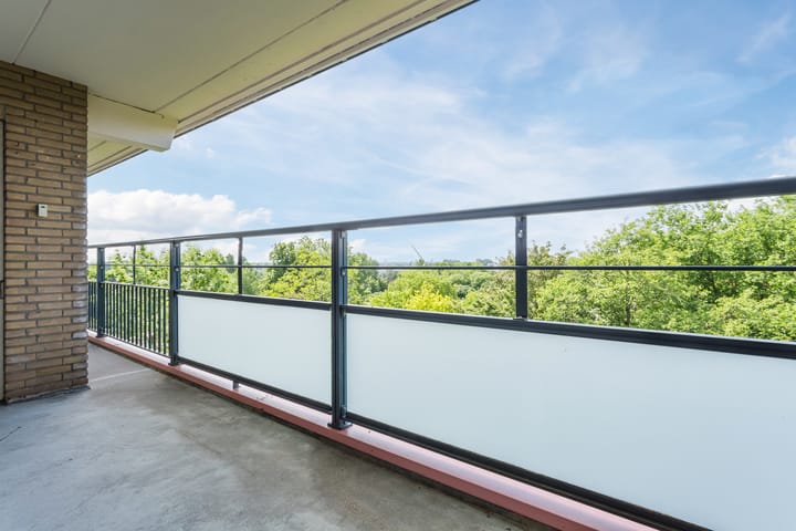 Foto 27 van Van Oldenbarneveltstraat 452