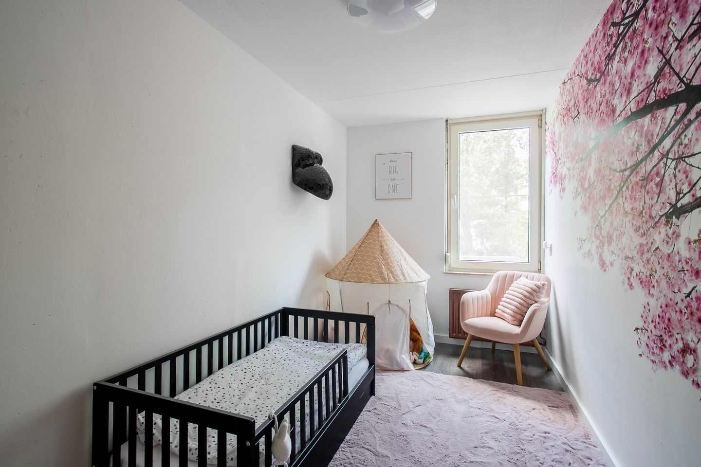 Foto 19 van Hazenpad 34