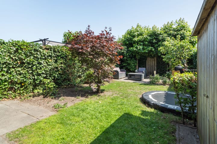 Foto 3 van Waterviolier 100